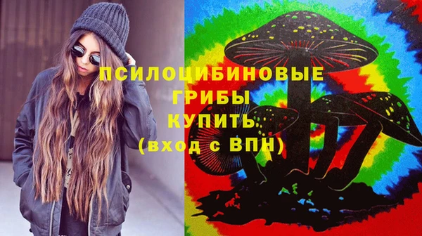 мяу мяу мука Аркадак