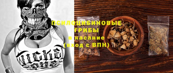 трава Армянск