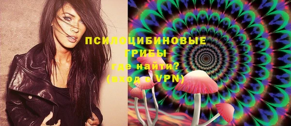 PSILOCYBIN Арсеньев