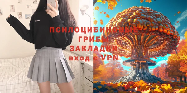 мяу мяу мука Аркадак