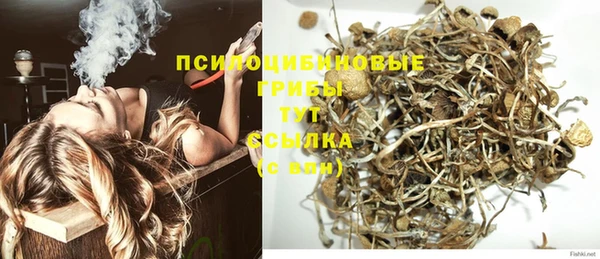 трава Армянск