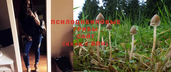 мяу мяу мука Аркадак