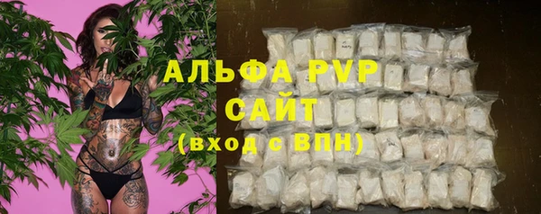 мяу мяу мука Аркадак